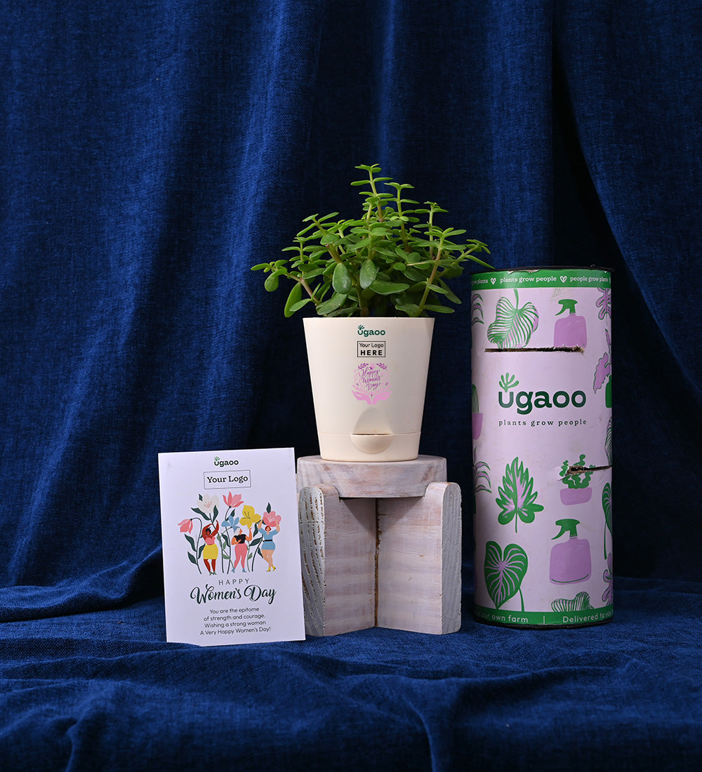 Plant & Crisps For Women&