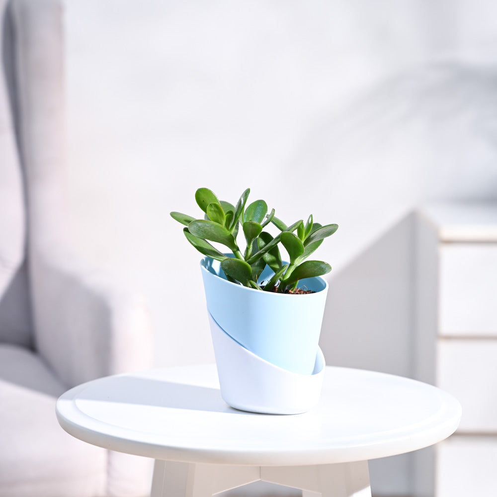 atlantis-pot-pastel-blue