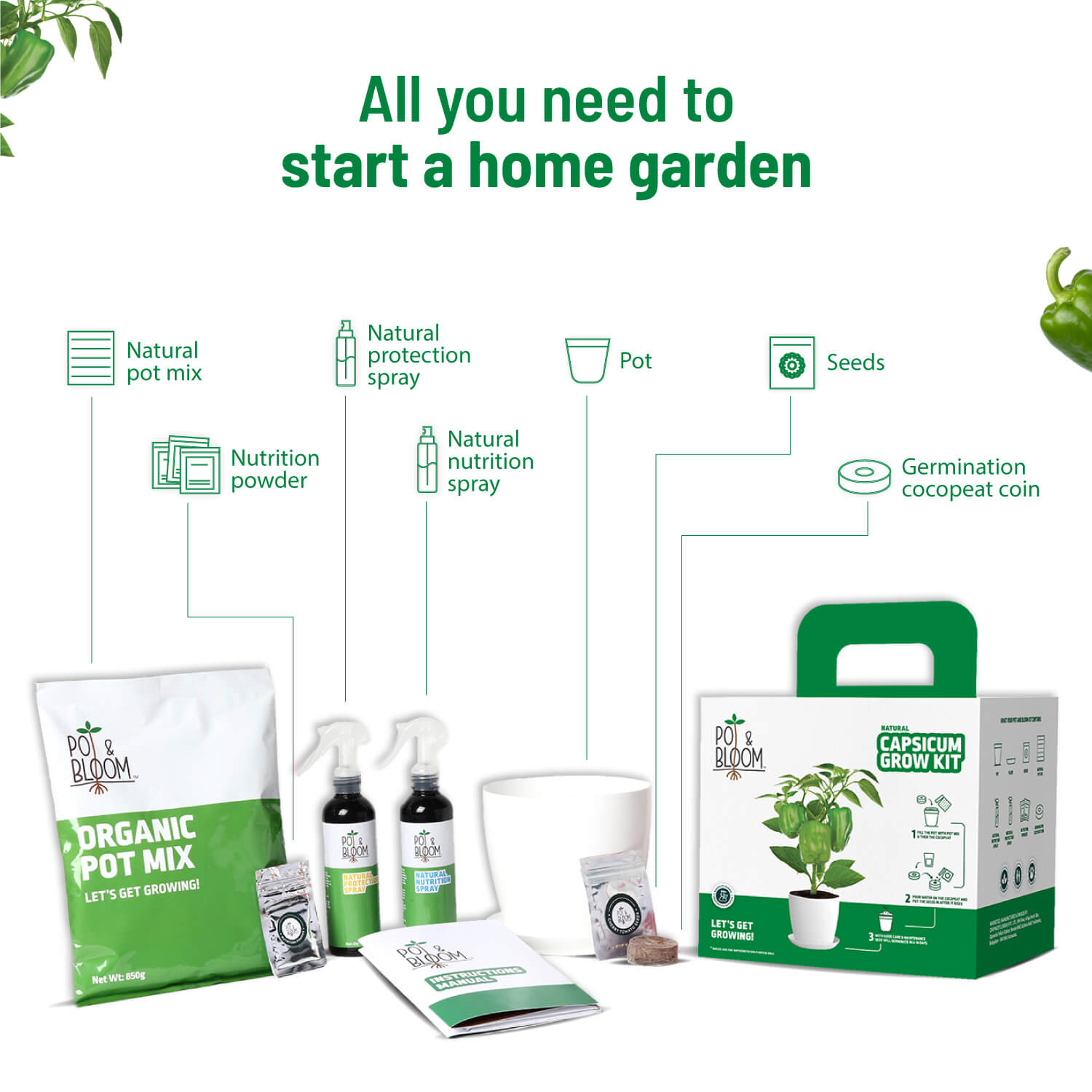 Capsicum Grow Kit