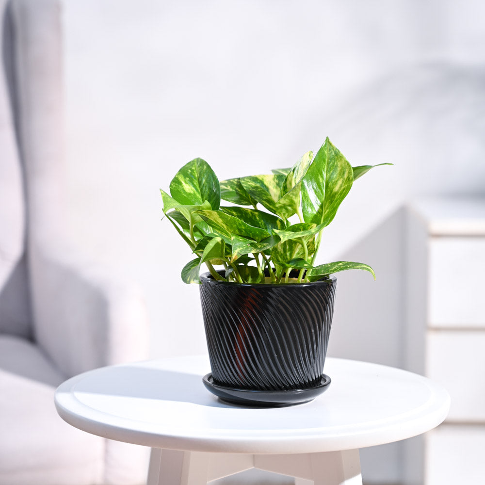 ceramic-pot_black