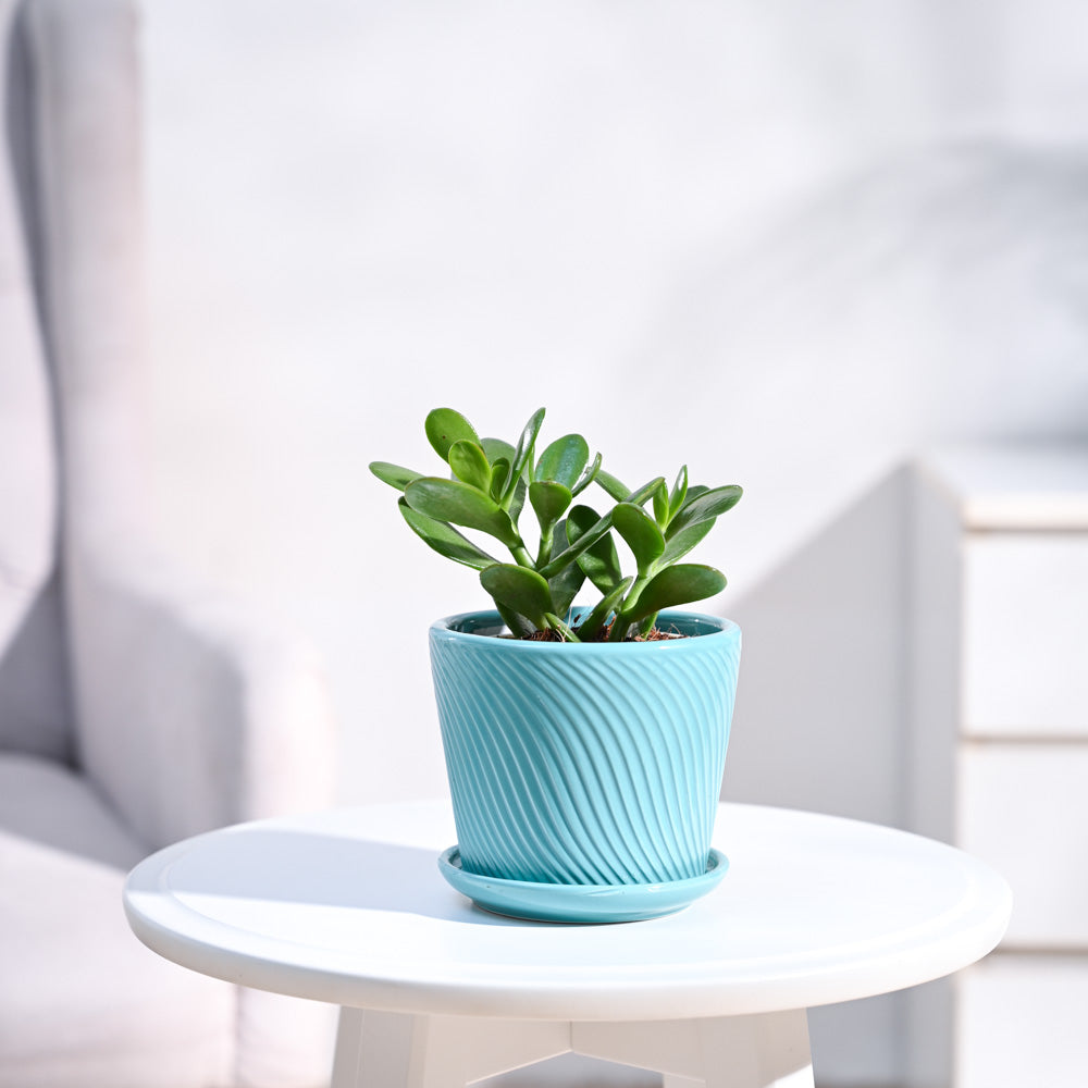 ceramic-pot-turquoise-blue