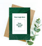 Fittonia Green Plant (Nerve Plant)  - Women&
