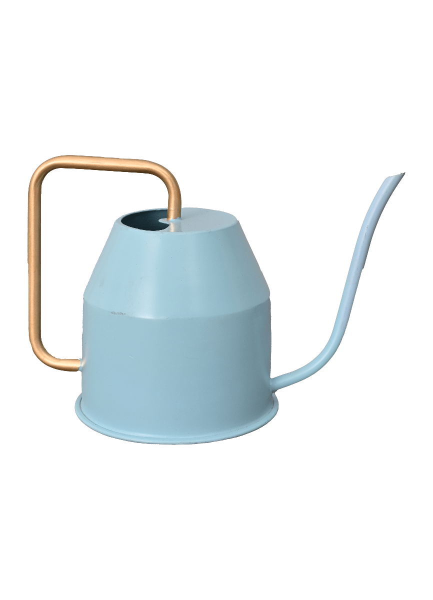 Calypso Watering Can - Sky Blue & gold