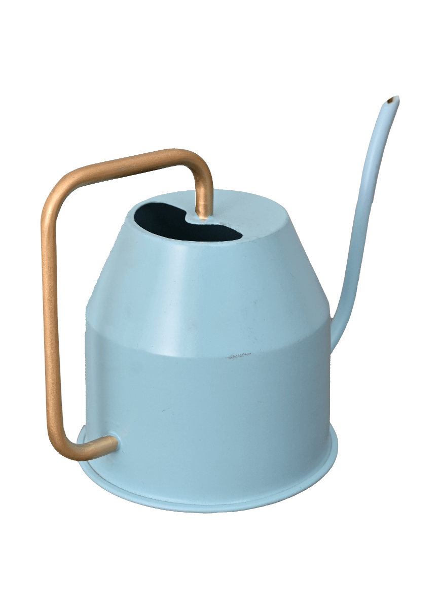 Calypso Watering Can - Sky Blue & gold
