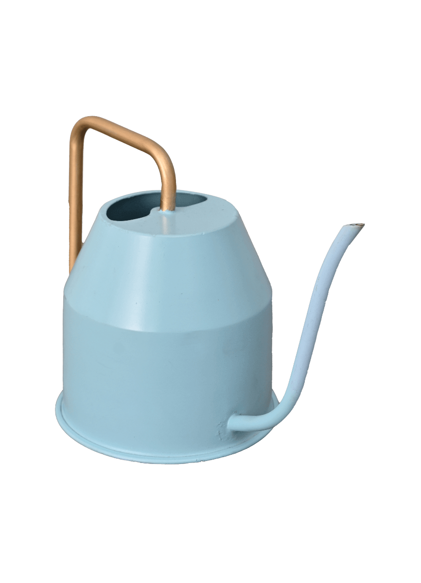 Calypso Watering Can - Sky Blue & gold