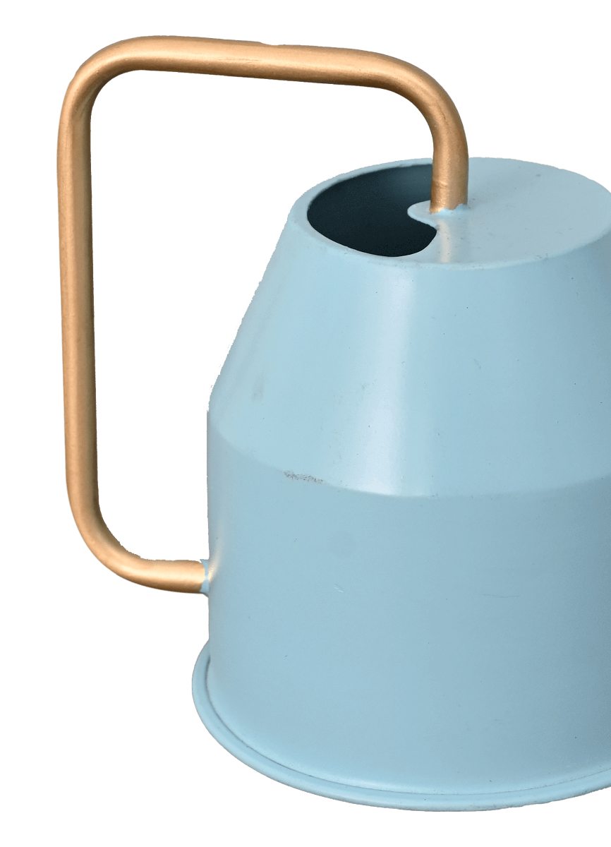 Calypso Watering Can - Sky Blue & gold