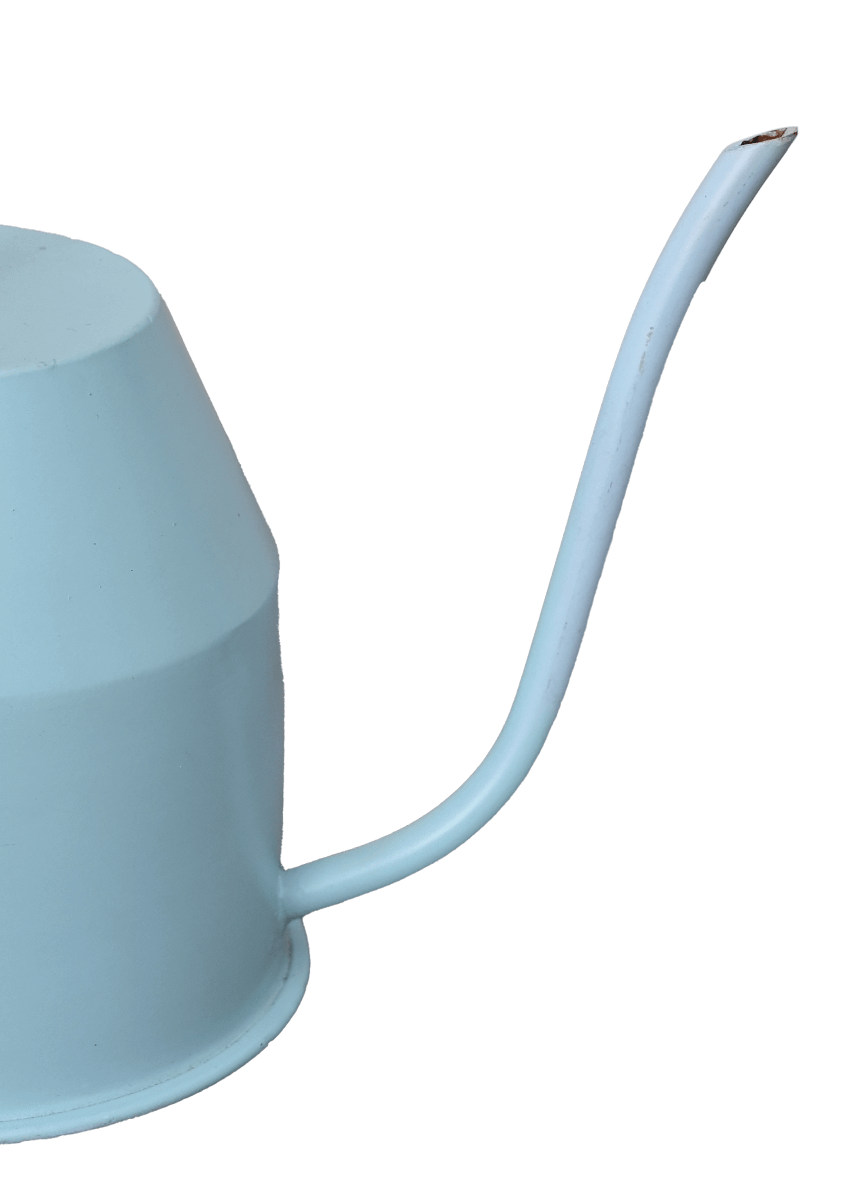 Calypso Watering Can - Sky Blue & gold