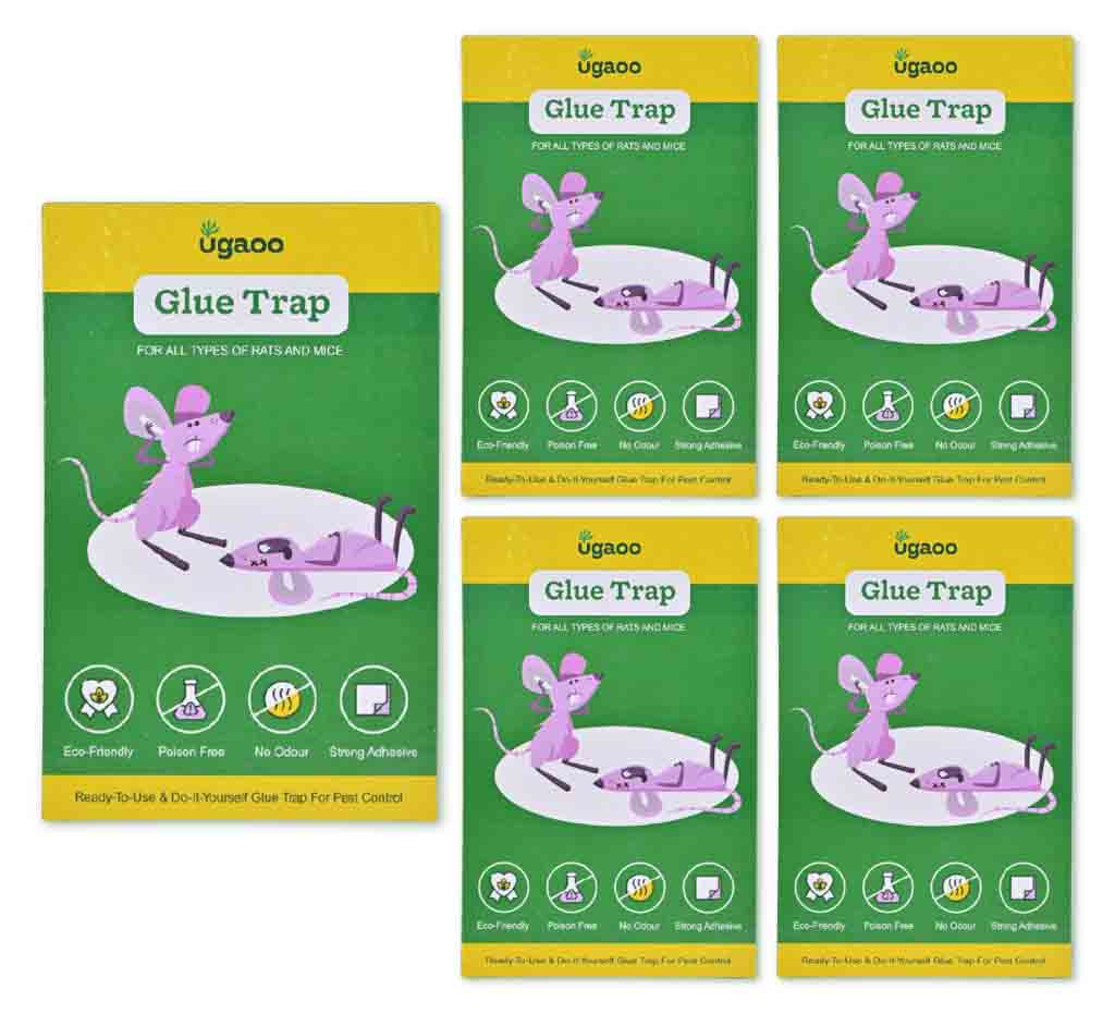DIYBUG Gum Trap Small - Set of 5