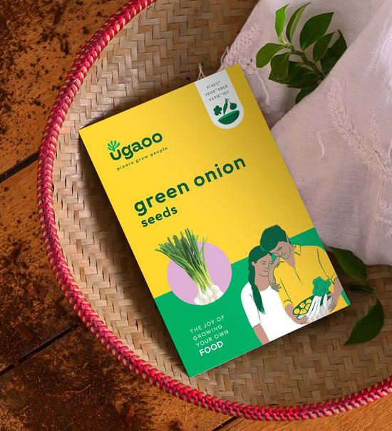 Green Onion Seeds (Leek)