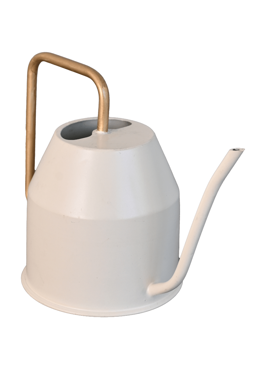 Haifoss Watering Can - Ivory & Gold