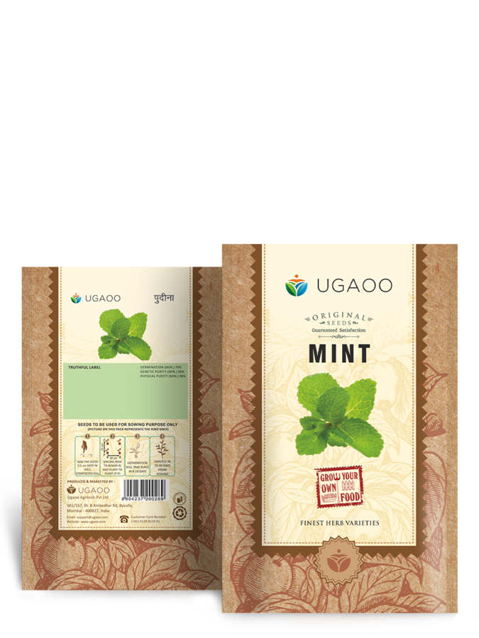 pudina plant seeds Mint Seeds (Pudina) – Ugaoo