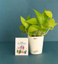 Money Plant with Plantable Essential Box