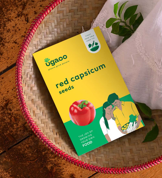Red Capsicum Seeds