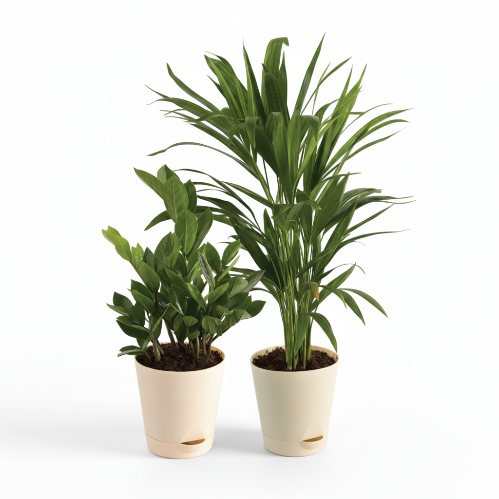 The Clean Air Bundle