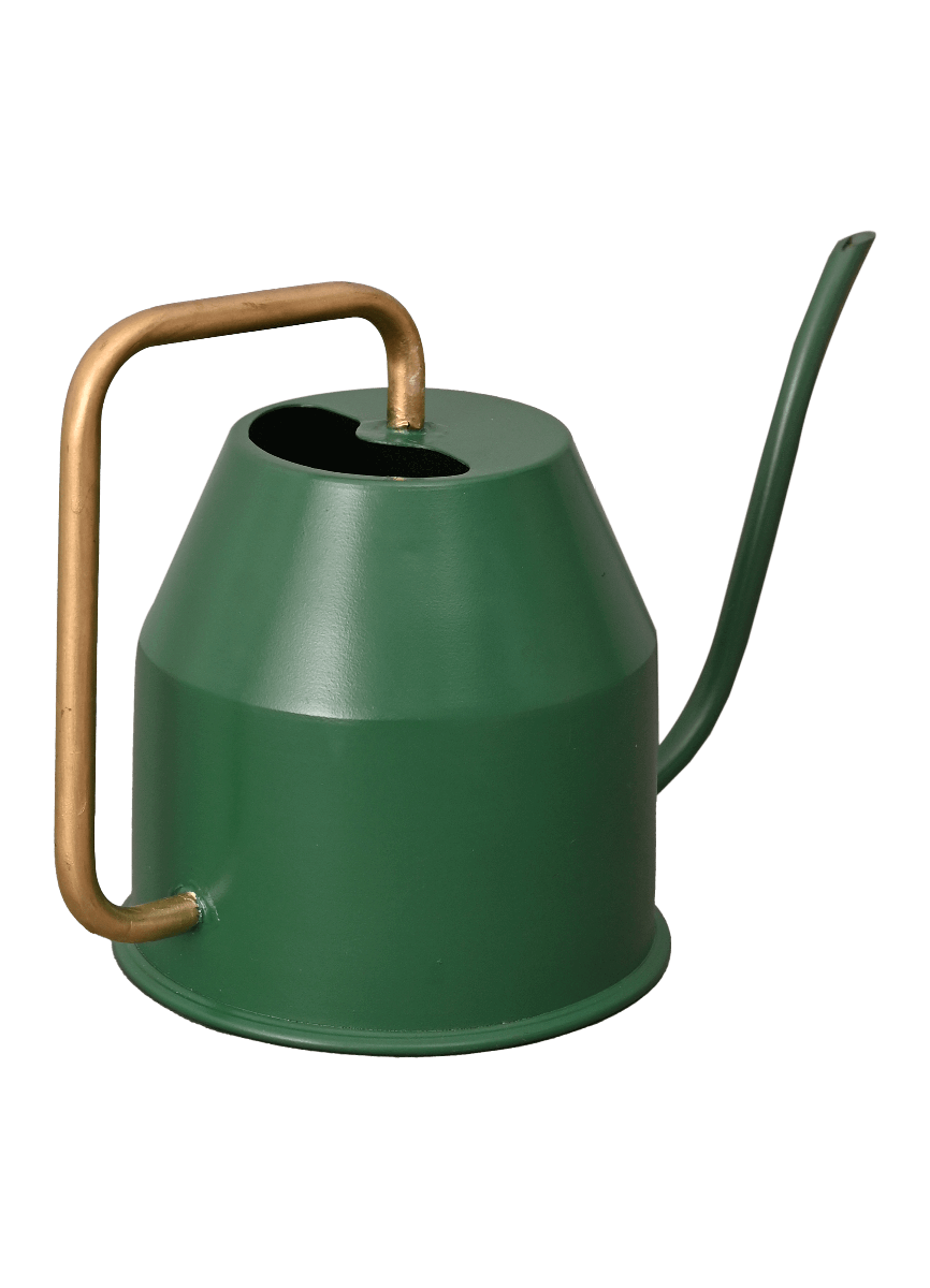 Tropical Forest Watering Can - Green & Gold