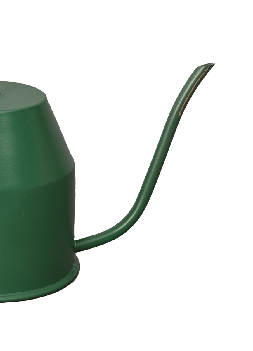 Tropical Forest Watering Can - Green & Gold