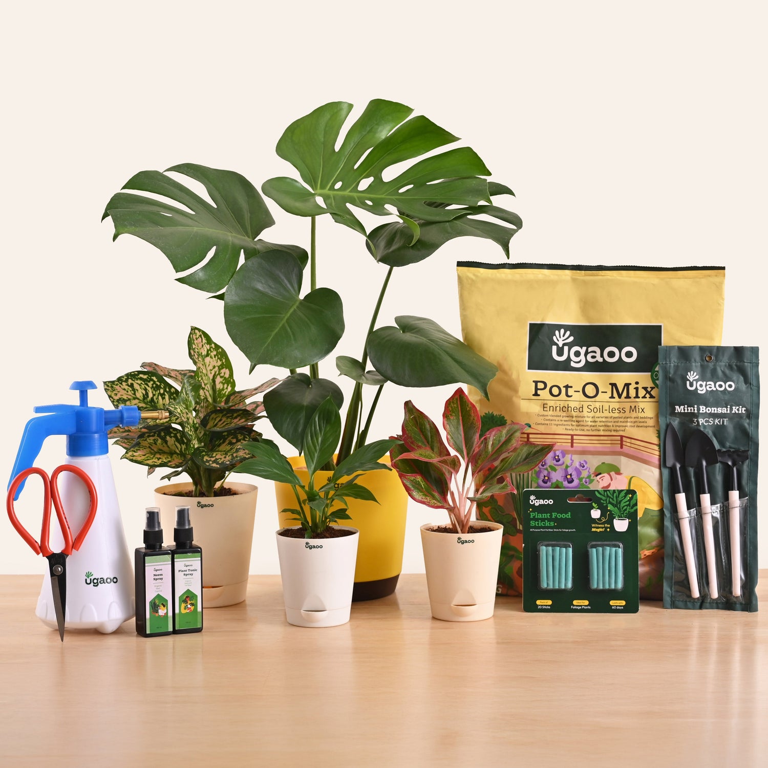 Explore Ugaoo's Plant Subscriptions: Start Your Gardening Journey Just Right!