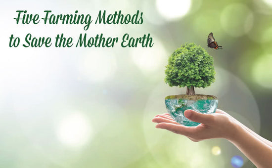 5 Farming Methods to Save Mother Earth