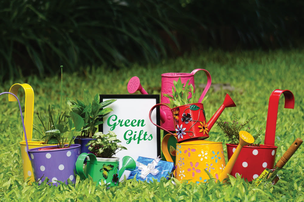 5 Green Gift Ideas For Your Loved Ones These Holidays