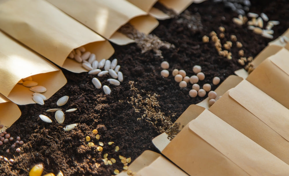 Seed Kit Example How Does Using Seed Kits Benefit You and Your Garden – Ugaoo