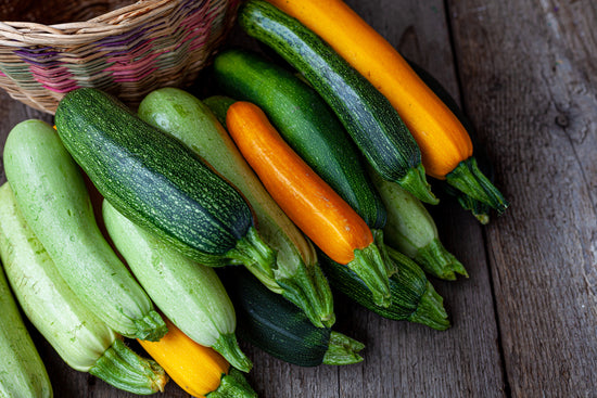 How to Grow Zucchini in Your Vegetable Garden