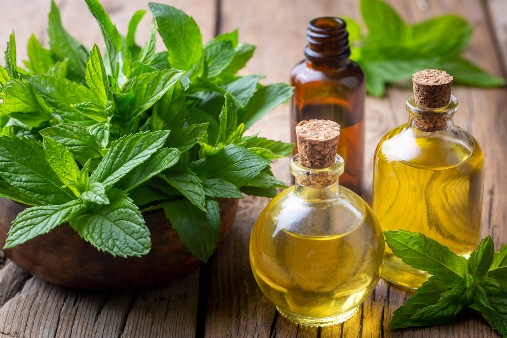9 Plants That Give Us Priceless Essential Oils