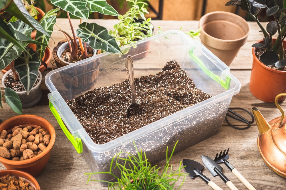 Creating a soil mix for plants at home