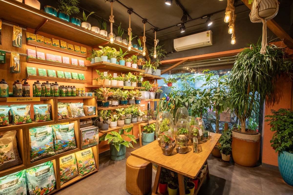 Ugaoo Bandra Store