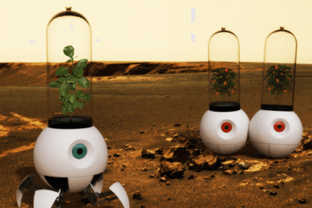 What's the Point of Growing Plants in Space?