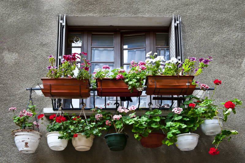 Space problem? Start with Container Gardening Planters
