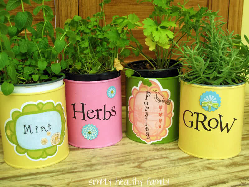 Try-out container gardening with quick to grow plants