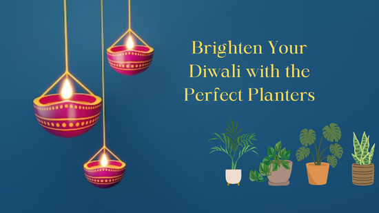 Elevate Your Diwali Decor with Planters that Perfectly Match Your Aesthetic