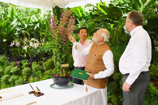 Which Flower Is Named After Our PM Narendra Modi?