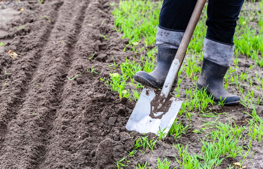 Methods of Soil Digging