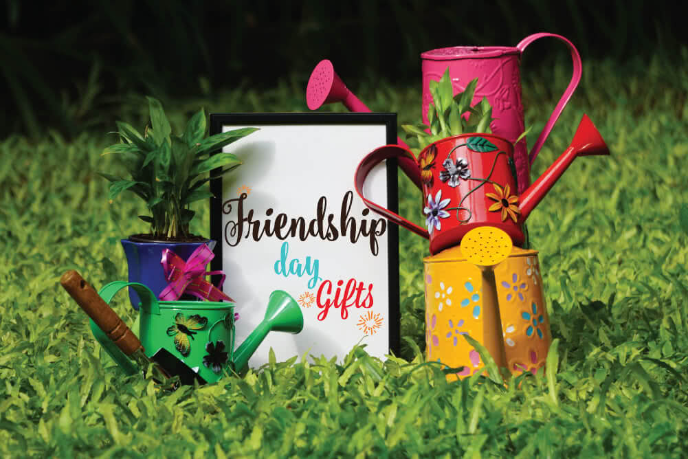 Gift Ideas for Friends - Which Plant Resembles Your Friend?