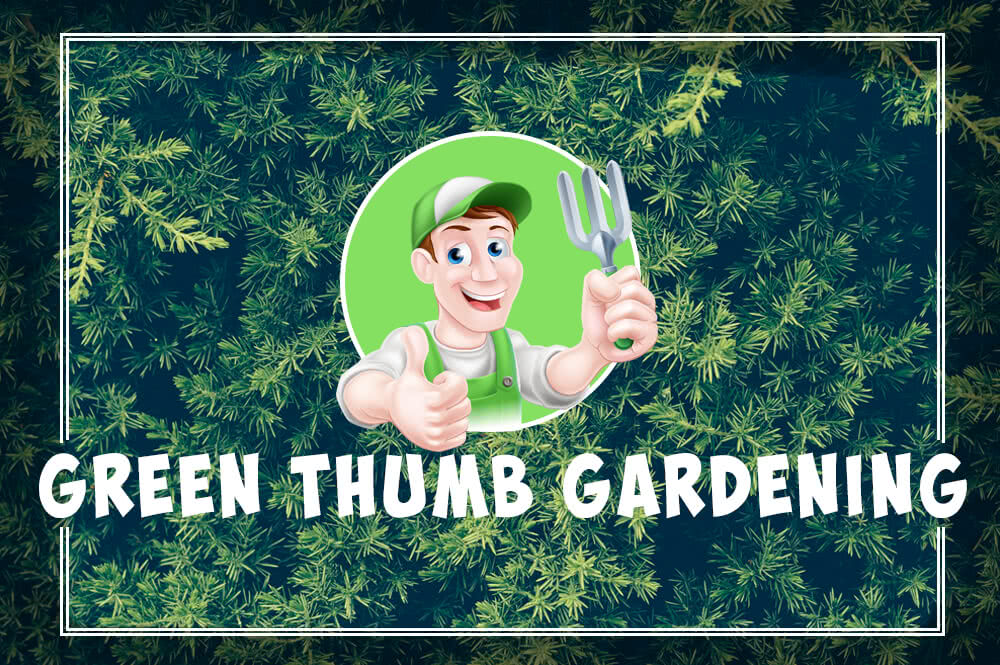 Are you a person with a green thumb?