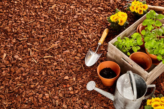 Understanding Mulching: The protector of soil