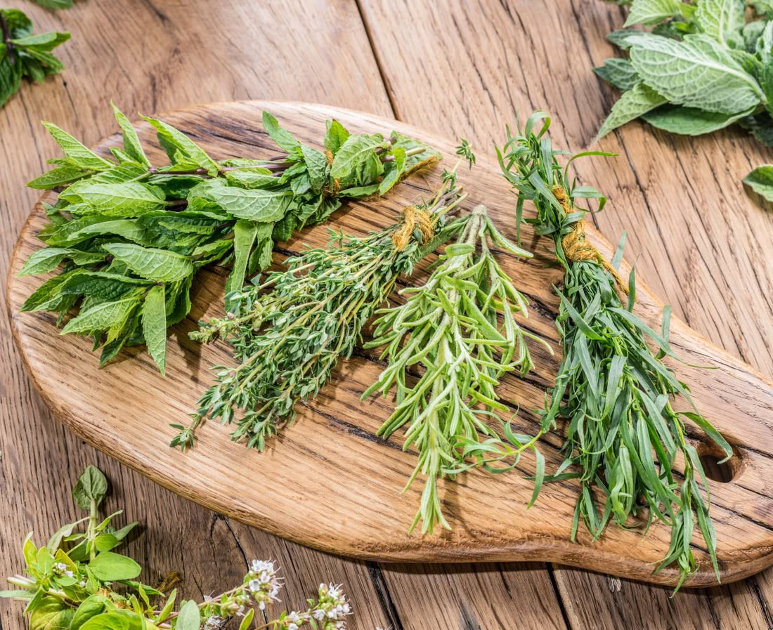 5 Herbs for a Perfect Christmas Celebration