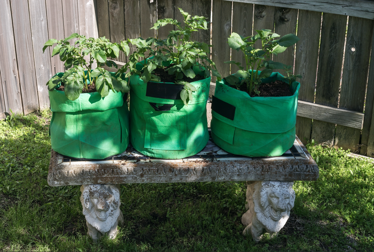 How to Use Grow Bags for Your Garden