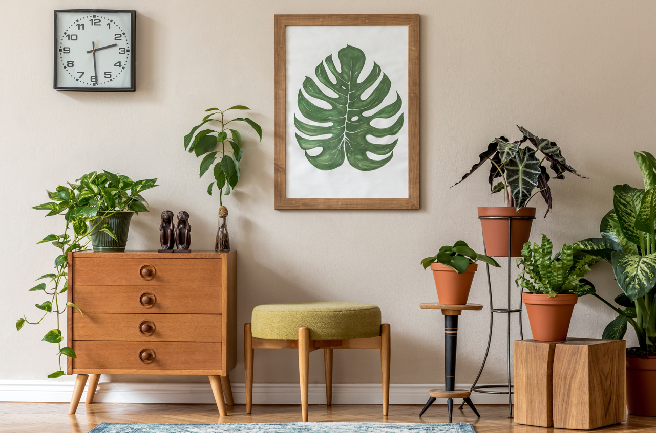 10 Foliage Plants for a Stunning Minimalistic Display