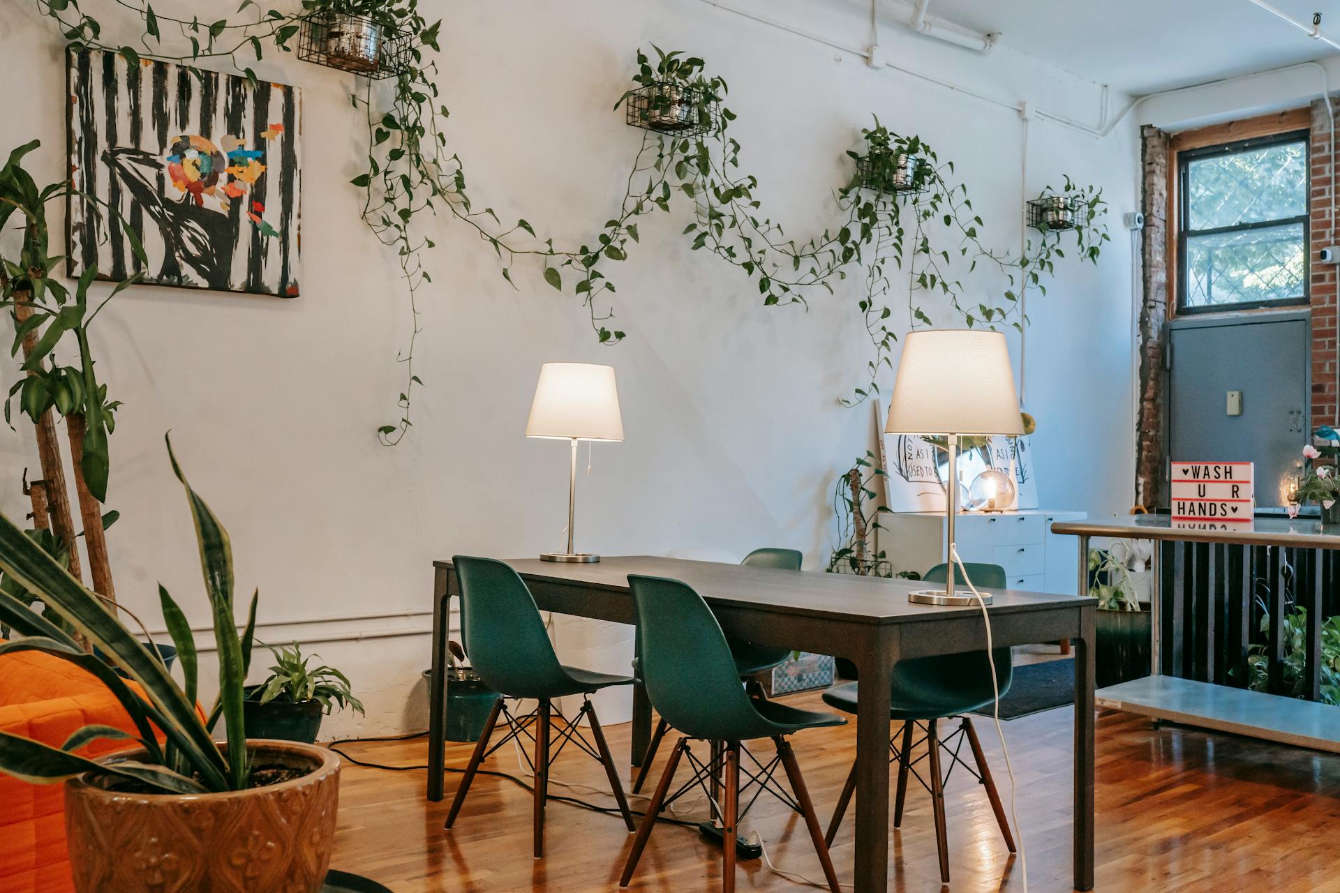 Best Indoor Plants for Renters