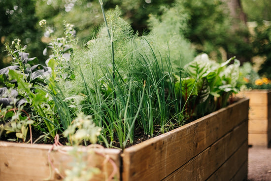 Small Garden Ideas for Your Home Garden