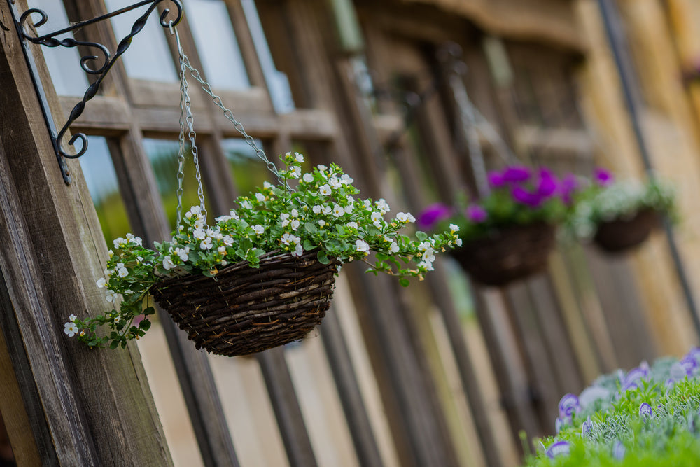 The Benefits of Using Basket Planters in Your Gardening Routine