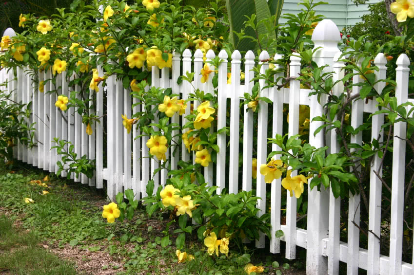 6 Ways of Building Stunning Garden Border Fence