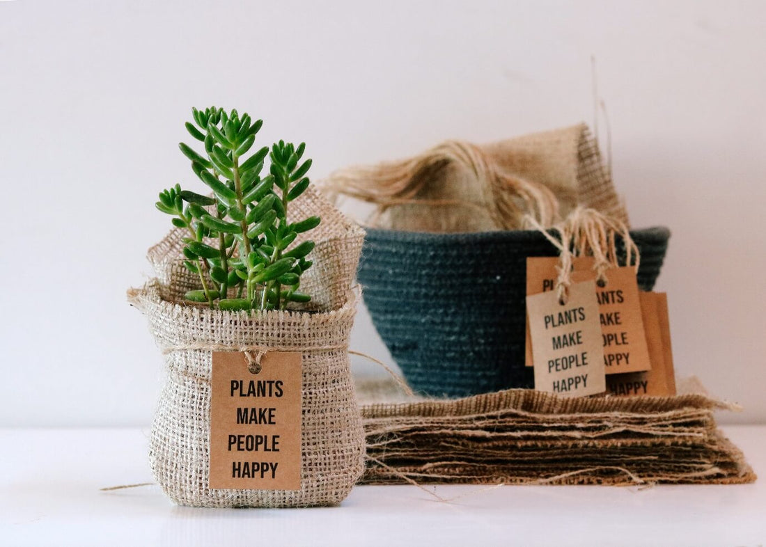 Gifting plants is an act of kindness