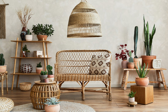 Decorating with Bohemian Plants