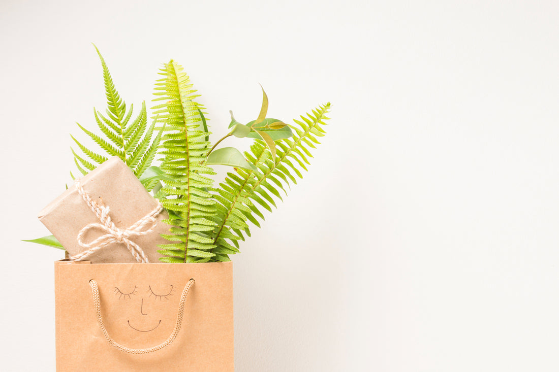 7 plants that make great Christmas gift