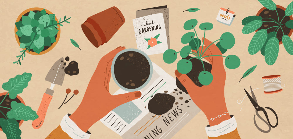 Graphics for a Plant Book and Planting a Sapling 