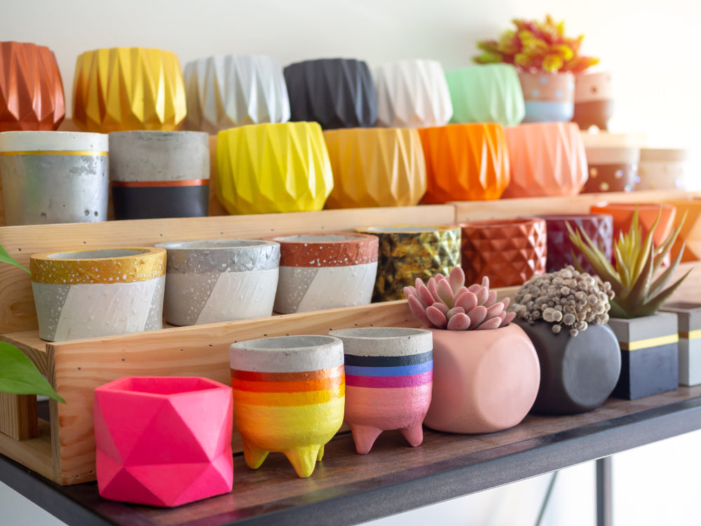 How to Choose the Best Color Pots for Your Plants: A Guide to Vibrant ...