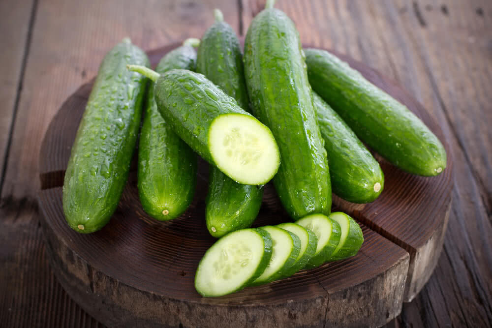 Growing Cucumbers - The summer refreshers in your garden